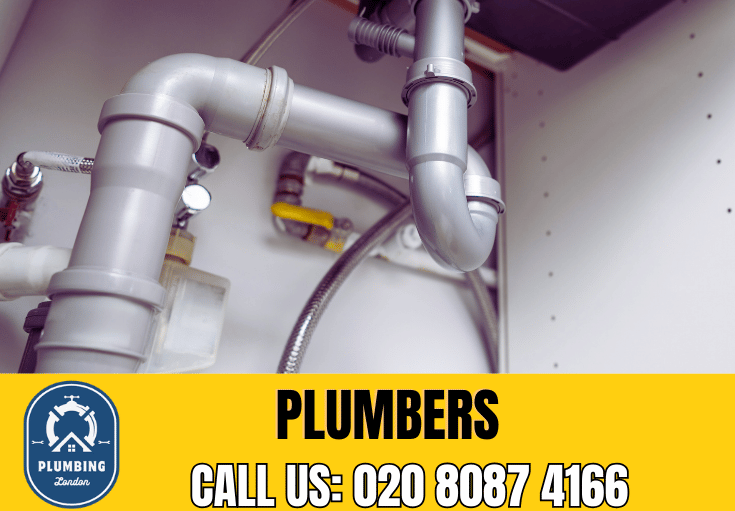  plumber Stamford Brook